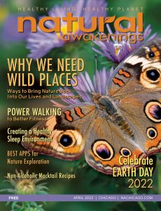April 2022 cover of Natural Awakenings Chicago with a butterfly on it.
