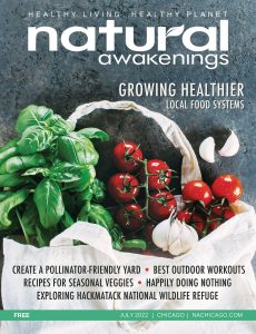 Natural Awakenings Chicago July 2022 cover with a basket of veggies and fruit on it.