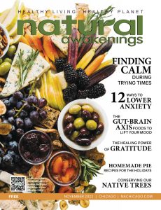 November 2022 cover of Natural Awakenings Magazine Chicago with an assortment of autum foods