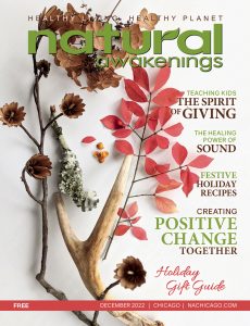 Cover of Natural Awakenings Magazine Chicago with some holiday branches.