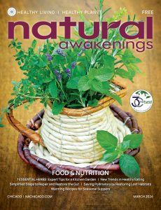 Cover of Natural Awakenings Magazine Chicago edition with a plant growing out of a pitcher.