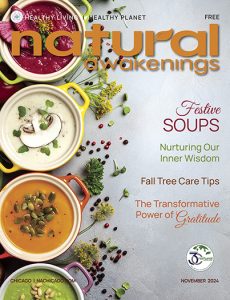 Natural Awakenings Chicago November cover featuring bowls of festive soups