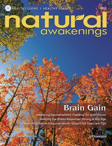 October Brain Gain: Neuroplasticity, Gut-Brain Health & Fall Inspiration | Natural Awakenings Chicago