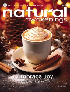 Close-up of a festive mug of coffee with whipped cream, cinnamon sticks, and star anise against a warm holiday backdrop.